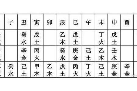 男命八字藏干算子女吗 男命八字中的隐藏信息是否与子女有关